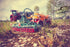 Holmer Terra Variant Modell 1:32